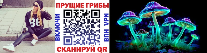 Галлюциногенные грибы GOLDEN TEACHER дарнет шоп Мензелинск